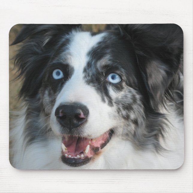 Australian shepherd Mousepad Musmatta (Framsidan)