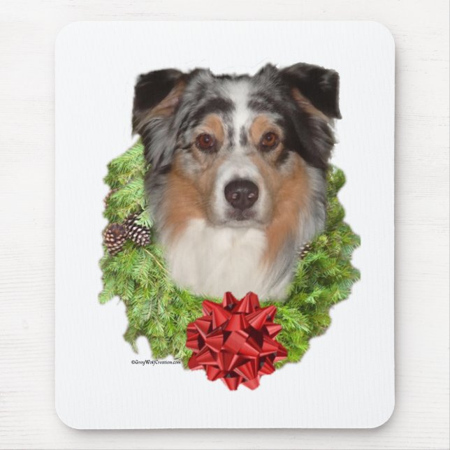 Australian shepherd musmatta (Framsidan)