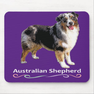 Australian shepherd musmatta