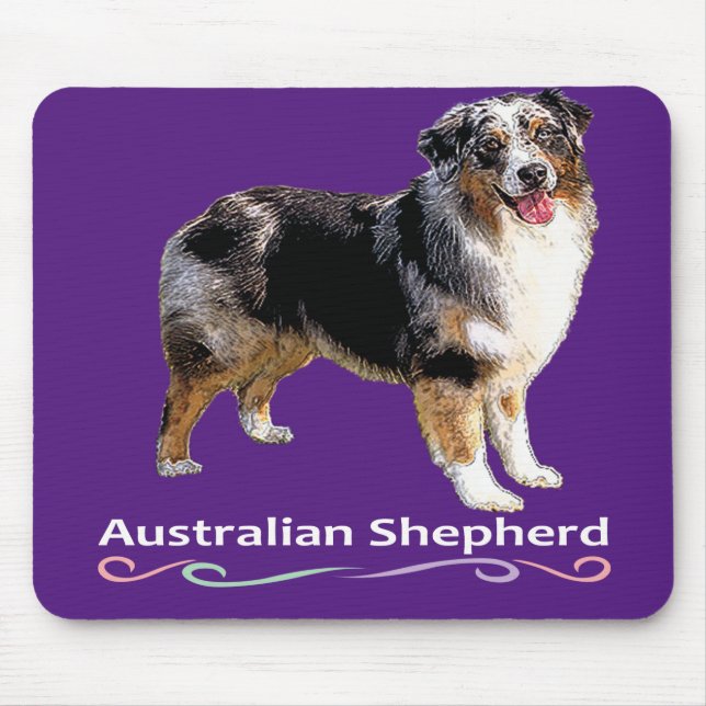 Australian shepherd musmatta (Framsidan)