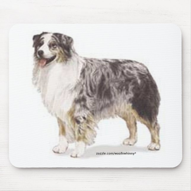 Australian shepherd musmatta (Framsidan)