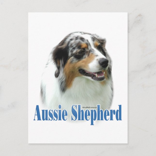 Australian shepherd Namn Vykort (Framsida)
