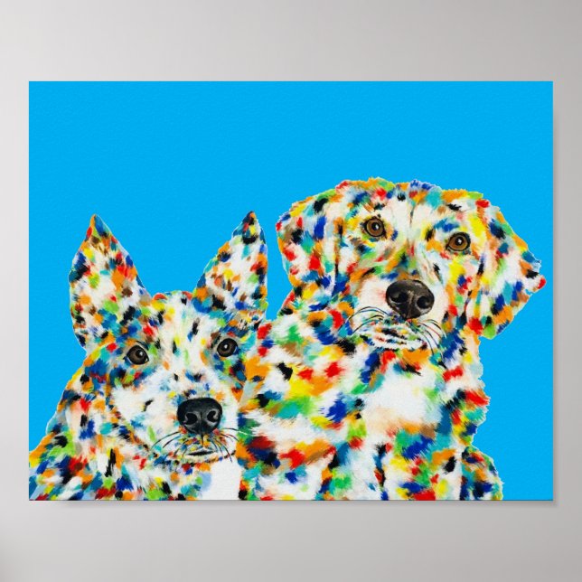 Australian Shepherd och Plott Hound Poster (Framsidan)