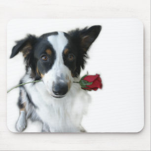 Australian shepherd och rosa Mousepad Musmatta