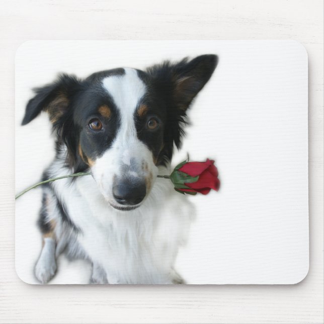 Australian shepherd och rosa Mousepad Musmatta (Framsidan)