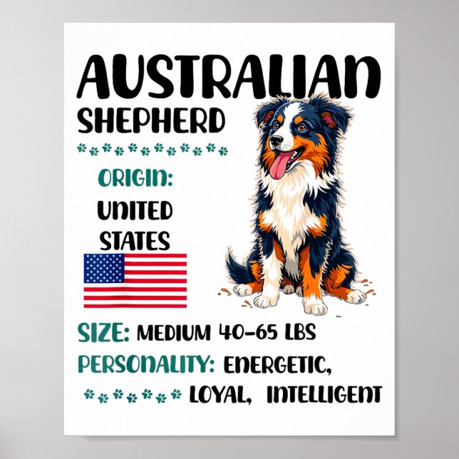 Australian Shepherd Origin Funny Aussie Dog Lover  Poster (Framsidan)