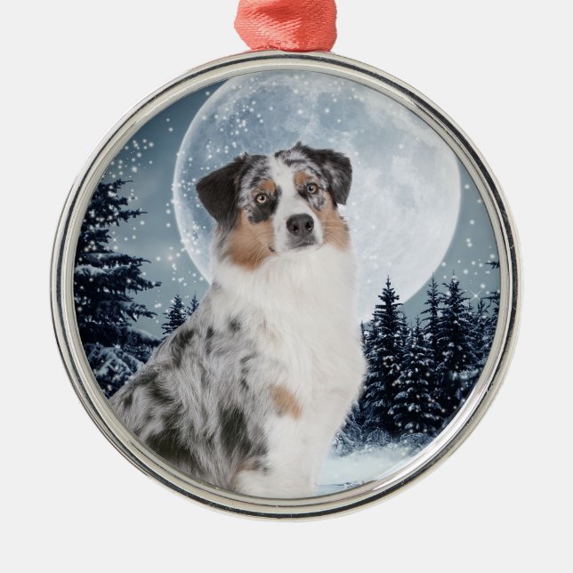 Australian shepherd Ornament (Framsidan)