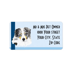 Australian shepherd på blåttadressetikett adressetikett