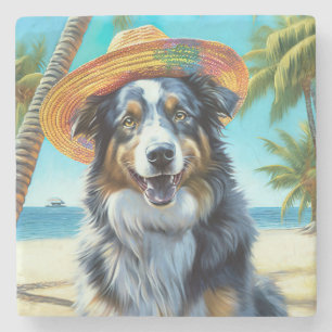 Australian shepherd på sommargåva vid Beach hund ä Stenunderlägg