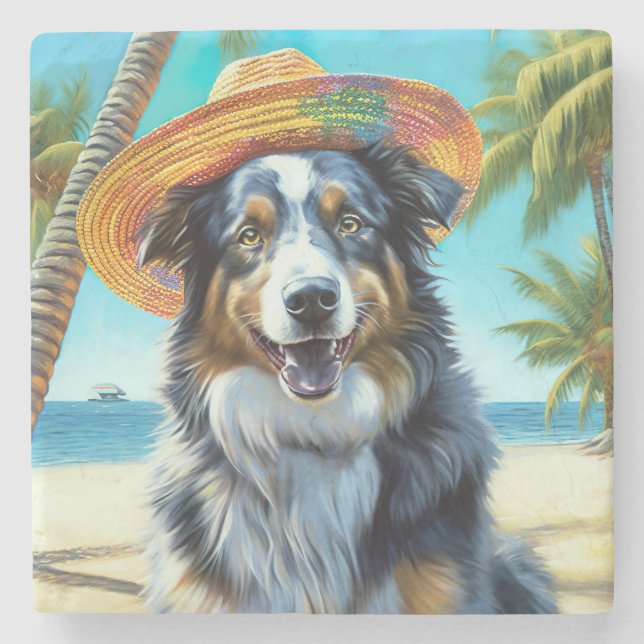 Australian shepherd på sommargåva vid Beach hund ä Stenunderlägg (Framsidan)
