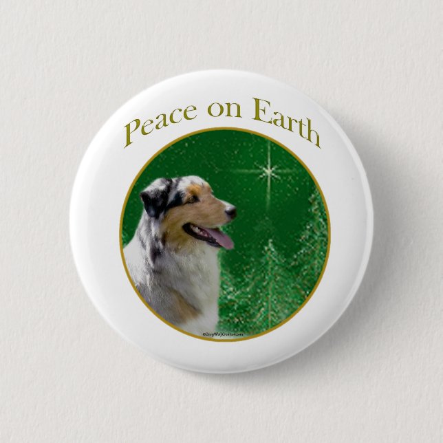 Australian shepherd Peace Knapp (Framsida)