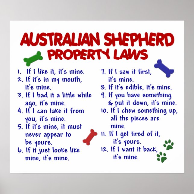 AUSTRALIAN SHEPHERD PL2 POSTER (Framsidan)