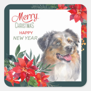 Australian shepherd Poinsettia Bouquet jul Fyrkantigt Klistermärke