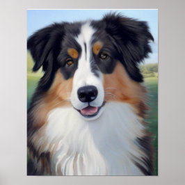 Australian Shepherd Portrait - Poster