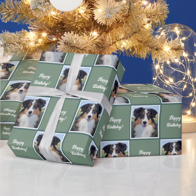 Australian Shepherd Portrait  -  Presentpapper (Helgdagar)