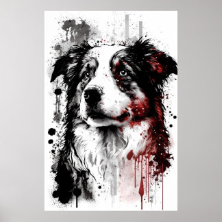 Australian shepherd Porträtt Poster