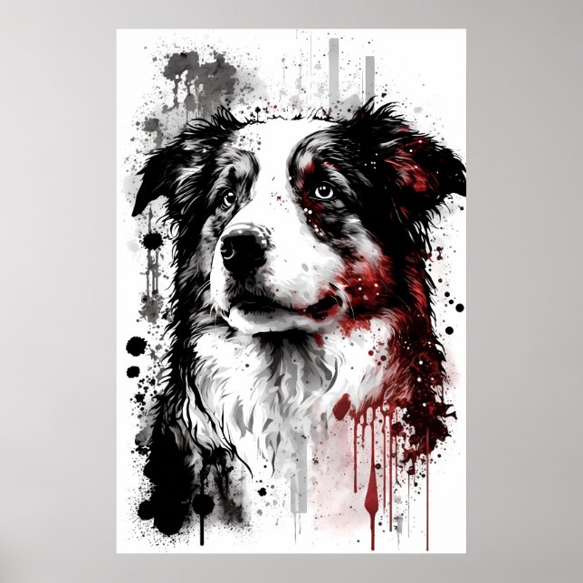 Australian shepherd Porträtt Poster (Framsidan)