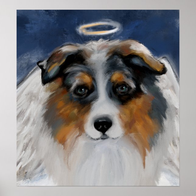 Australian Shepherd Poster (Framsidan)