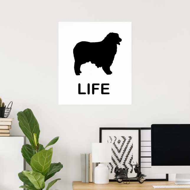 australian shepherd poster (Hemmakontoret)