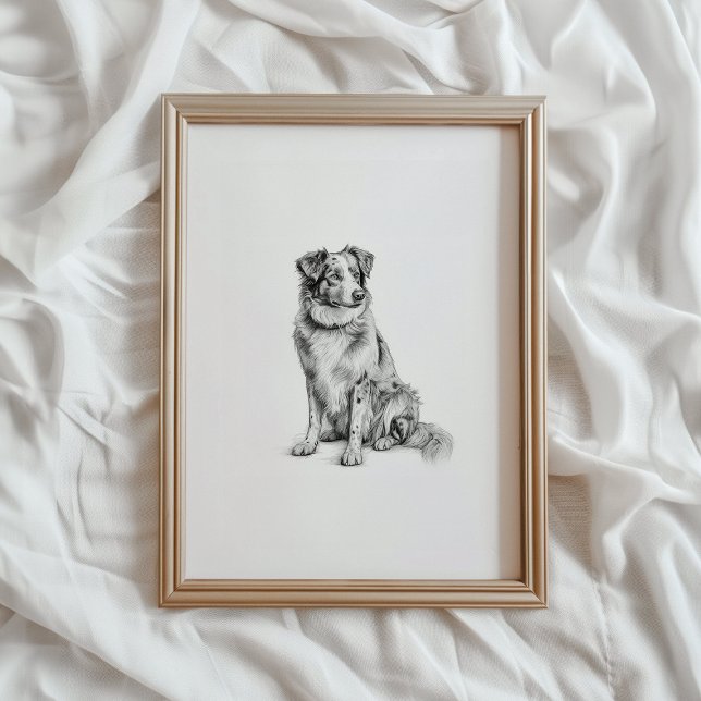 Australian Shepherd Print, Aussie Dog Sketch, PRIN Poster (Skapare uppladdad)