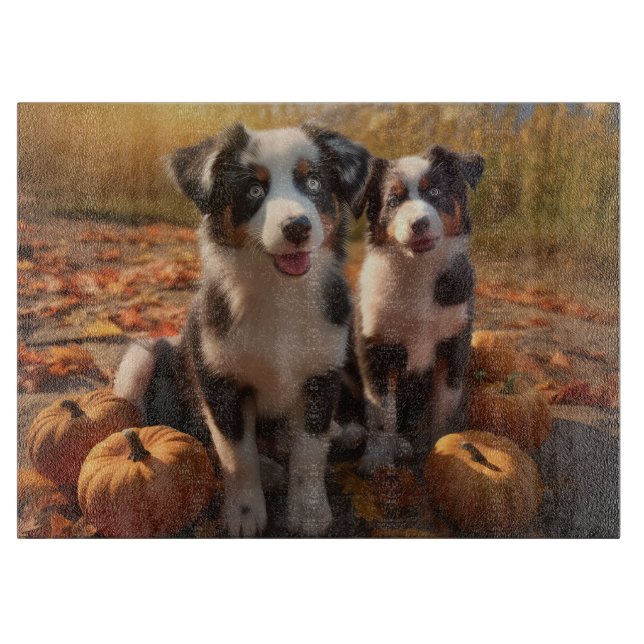 Australian shepherd Pumpkin för höstdelight (Framsidan)