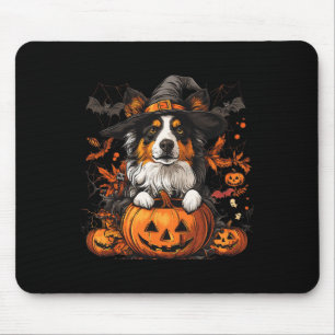 Australian shepherd Pumpkin Halloween Thanksgiving Musmatta