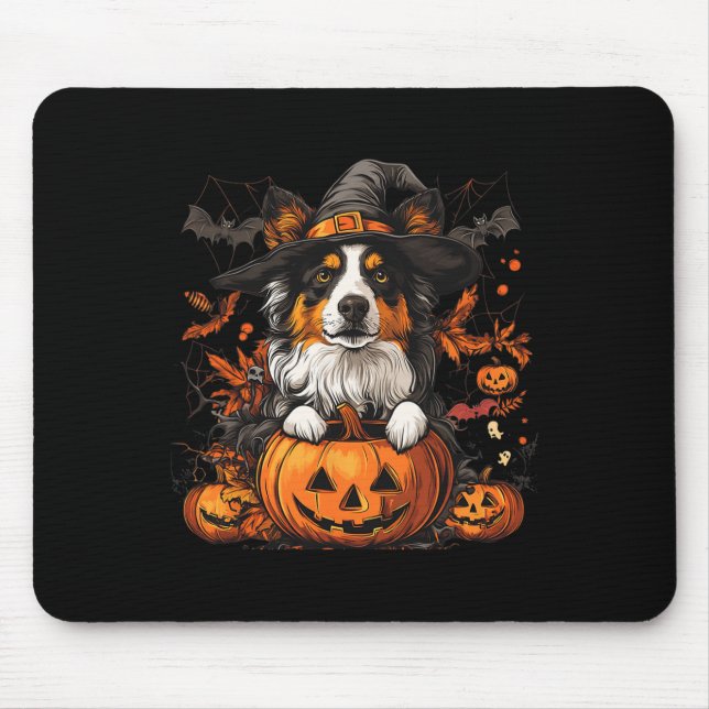 Australian shepherd Pumpkin Halloween Thanksgiving Musmatta (Framsidan)