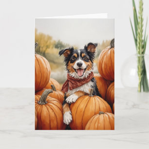 Australian shepherd Pumpkin Patch Kort