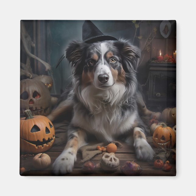 Australian shepherd Pumpkins Halloween Scary Magnet (Framsidan)