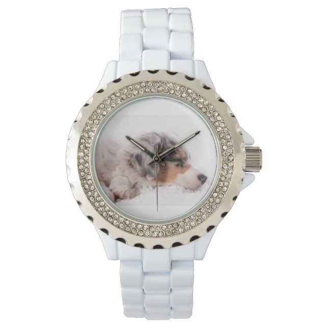 Australian shepherd puppy armbandsur (Framsida)