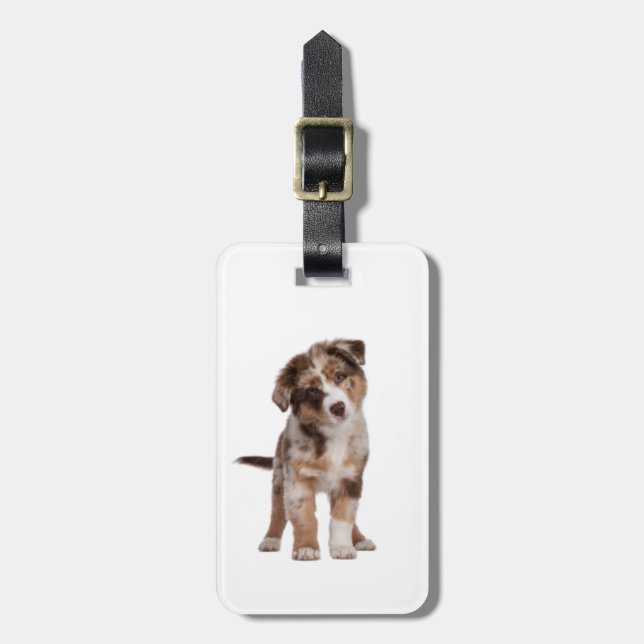 Australian shepherd Puppy | Bagagebricka (Vertikal Framsida)