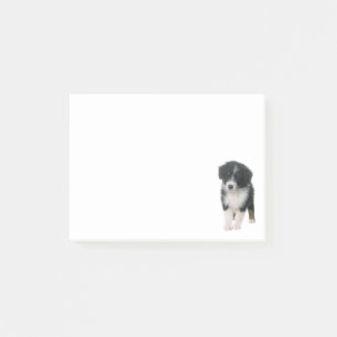 Australian shepherd Puppy Hund Aussie Post-it Block