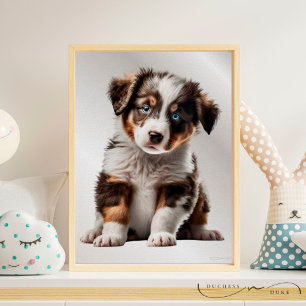 Australian shepherd Puppy Hund Graphic Nursery Art Poster