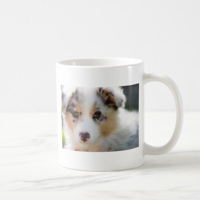 Australian shepherd puppy kaffemugg (Höger)