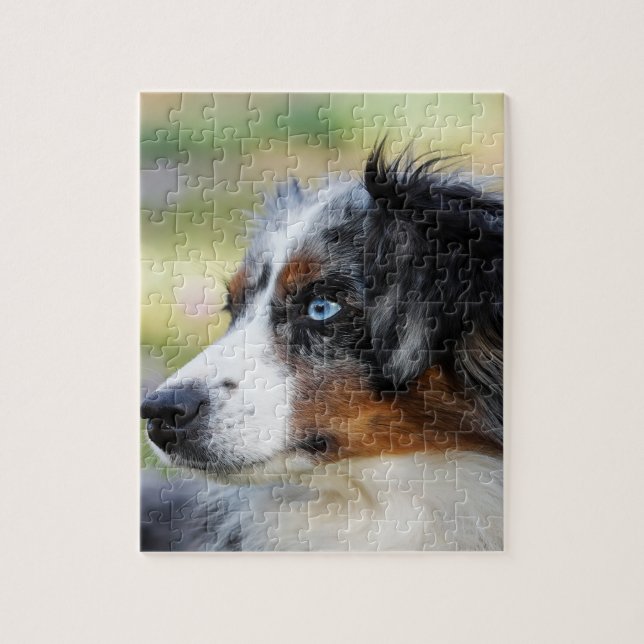 australian shepherd pussel (Vertikal)