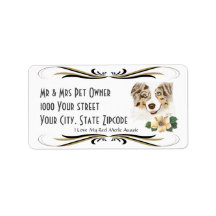 Australian shepherd Red Merle-adressetikett