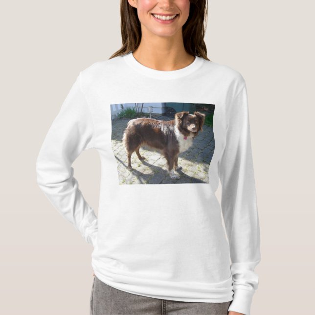 australian shepherd red tri fullt t shirt (Framsida)