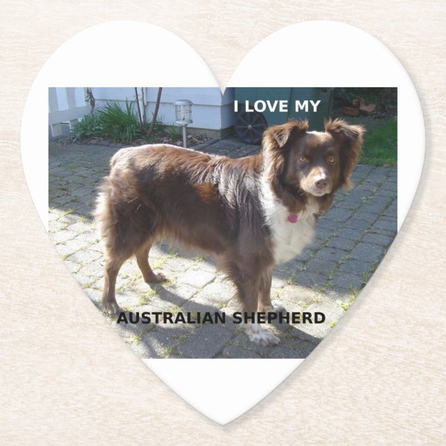 australian shepherd red tri kärlek w pic underlägg papper (Framsida)