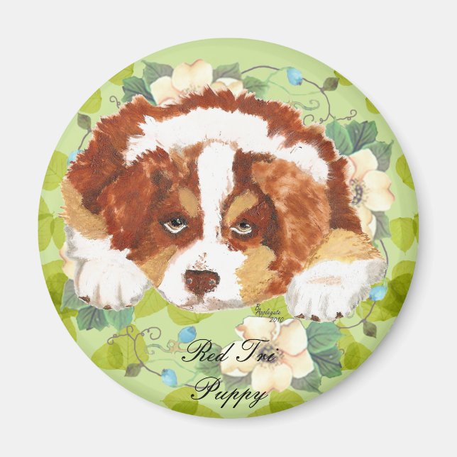 Australian shepherd Red Tri Puppy ~ Grönt Löv Magnet (Framsidan)
