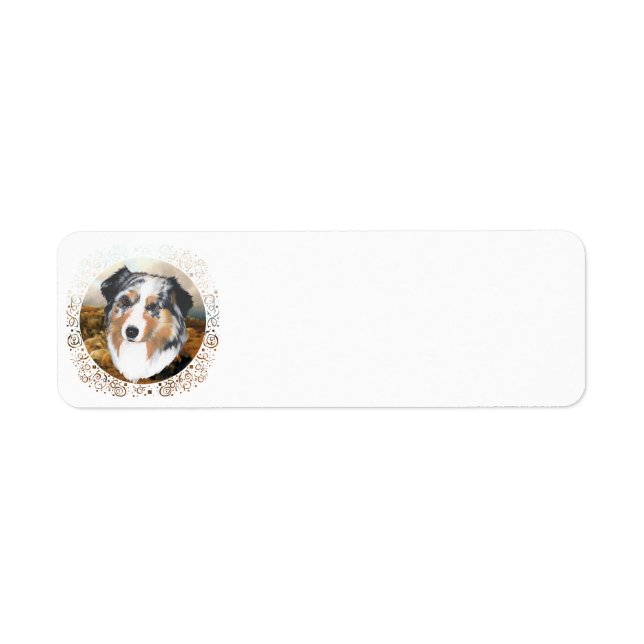Australian shepherd returadress etikett (Framsidan)