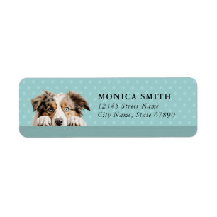 Australian Shepherd Returadressetiketter Returadress Etikett