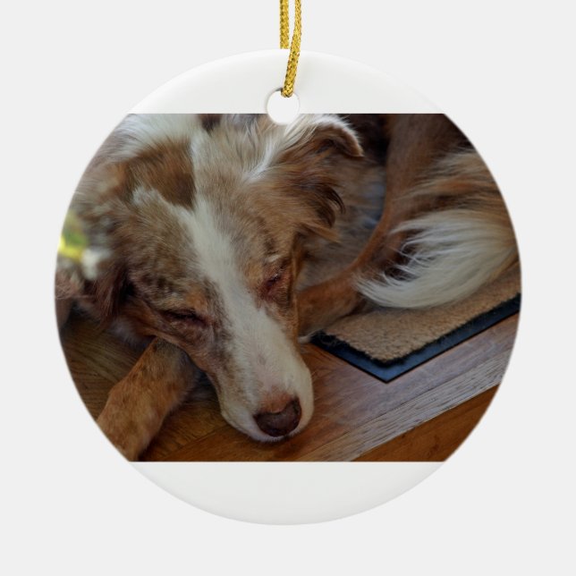 australian shepherd röd merle sovande julgransprydnad keramik (Framsidan)