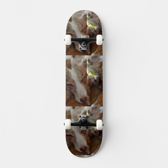 australian shepherd röd sjöle sovande mini skateboard bräda 18,5 cm (Framsida)