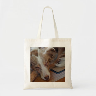 australian shepherd röd sjöle sovande tygkasse