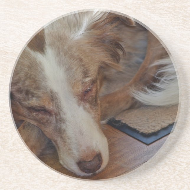 australian shepherd röd sjöle sovande underlägg (Framsidan)
