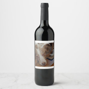australian shepherd röd sjöle sovande vinflaska etikett