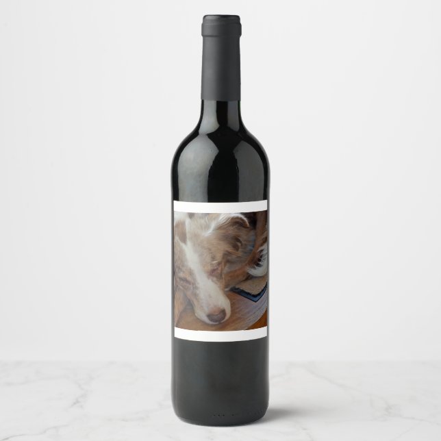 australian shepherd röd sjöle sovande vinflaska etikett (Framsida)
