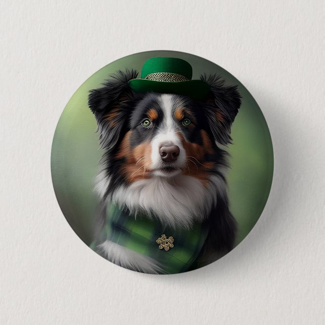 australian shepherd saint patrick knapp (Framsida)