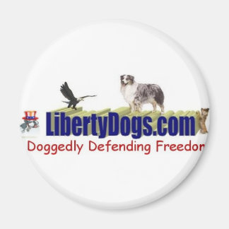Australian shepherd Saker Magnet