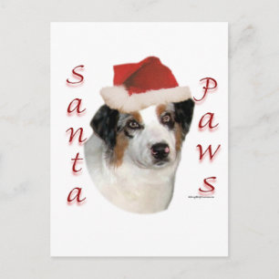 Australian shepherd Santa Tassar Helg Vykort